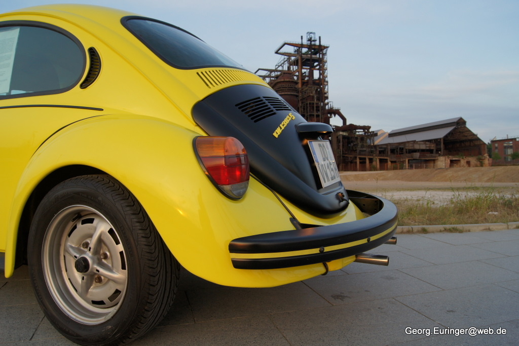 gelb schwarzer renner