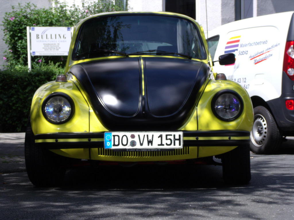 gelb schwarzer renner