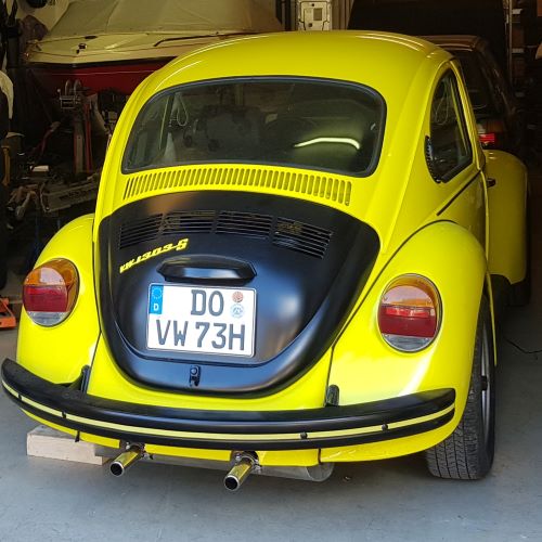 gelb schwarzer renner